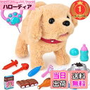 【送料無料】【楽天ランキング1位獲得】JoyGrow おままごとセット 一緒に お散歩 わんちゃん 動くぬいぐるみ 犬 電動式 音声付き ペット飼うセット 子供...