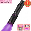 【楽天ランキング1位獲得】Alonefire SV87 5W 紫外線 ズーム ブラックライト 強力 UV LED ライト 波長395nm C型USB充電式 アニサキスライト ウッド灯検査 ペット尿検出器 スコーピオン 鑑定 真贋