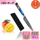 【楽天ランキング1位獲得】Utaki 高級ペティナイフ 万能ナイフ 刃渡り115mm アウトドア用可能 野菜 魚 果物 肉 寿司に最適です ダマスカス67層
