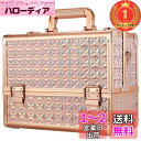 【送料無料】【楽天ランキング1位獲得】Hapilife メイクボックス 大容量 プロ仕様 コスメボックス 化粧箱 化粧ボックス 化粧品 収納ボックス 金 (ゴールド)