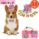 【楽天ランキング1位獲得】ペット 誕生日帽子 蝶ネクタイ 犬 猫 花 王冠 数字付き クラウン キラキラ おしゃれ クリスマス 記念日 誕生日グッズ 2個セット...