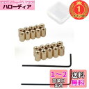 【楽天ランキング1位獲得】YFFSFDC ピンバッジのピンバッチ 6×5mm 20個セットネジ式キャッチ 留め具 金具 収納ケース付 (金色)