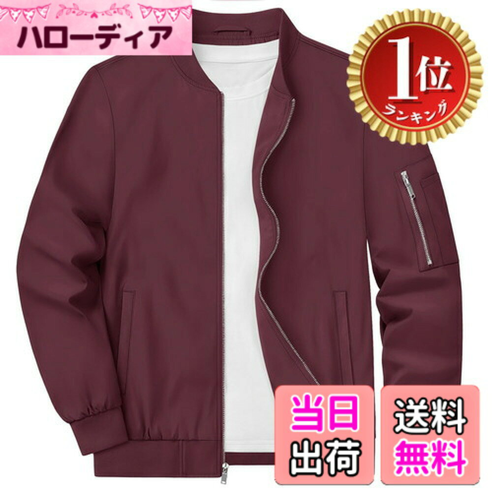 【楽天ランキング1位獲得】【送料無料】[KEFITEVD] ジャンパー メンズ 薄手 ジャケット 秋服 アウター 大きいサイズ ブルゾン 防風 ウインドブレーカー カジュアル ライダースジャケット