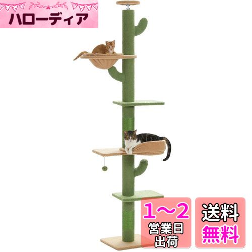 PETEPELA(ڥƤڥ) åȥ ͤĥ  10.2cm ܥƥ ޸ ĤäѤ դǽ ¿Ƭ ...