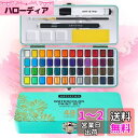Artistro Watercolor Paint Set, 水彩ペイントセット ビビッドカラー 48 色 携帯ボックス メタリックカラー& 蛍光色 水彩絵の具...