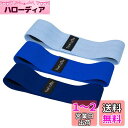 TheFitLife ヒップバンド 美尻バンド 高耐久 トレーニングチューブ ストレッチチューブ 内転筋トレーニング レジスタンスバンド トレーニングバンド 尻トレーニング器具 エクササイズバンド 肌に優しい 筋トレチューブ 筋トレバンド 軽量 フィットネスバンド ヒップアッ
