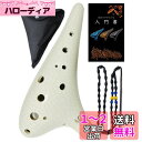 【送料無料】PERDIN オカリナ アルトc 入門セット 初心者セット おかりな okarina 陶器 運指表 日本語説明書付き (クレイズホワイト)