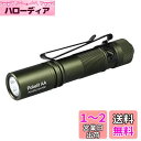 ACEBEAM Pokelit AA 懐中電灯 小型 軽量 強力 550ルーメン単三 3段階調光 高演色性 Ra90 IP68防水 最大9日の実行時間 安定した...