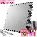 SOLPEX トレーニング ジョイントマット エクササイズマット 防音 衝撃吸収マット ホームジム 大判 ジムマット 60cm×60cm×1.2cm 6/24枚...