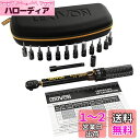 LEXIVON (レキシボン) 自転車トルクレンチ 1/4インチ Dr.15ピースキット , 72歯ギア デュアル方向クリックタイプ 2-26Nm (17.7-...