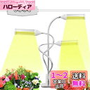 YTA 【最新型】植物育成ライト LED 110W 室内栽培ランプ アルミニウム タイミング定時機能(3H / 9H / 12H) 6段階調光 観賞用 3ヘッド付き 360°調節可能 216LED 日照不足解消 3スイッチモード電球 多肉植物育成 水耕栽培 家庭菜園 室内園芸 水草栽培 野菜工場 クリップ