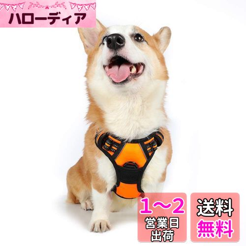 Rabbitgoo 犬 ハーネス 中型犬 首輪 13-20KG 引っ張り防止 サイズ調整可能 夜間反射材 抜けない 通気性 咳き込み防止 歩行補助ハーネス 老犬 介護用品 散歩 しつけ用 ソフト 犬 小型犬 大型犬 柴犬 (オレンジ M)