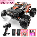 DEERC ラジコン オフロード ラジコンカー 高速 ブラシレスモーター搭載 RCトラック 4WD 男の子 クリスマス プレゼント 無段階制御 オイルダンパー/アルミ冷却フィン 金属製ギア 全地形対応 車おもちゃ 小学生 中学生 誕生日 贈り物 2.4Ghz 技適認証済 M163