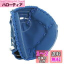 PEAKS&TREES 野球 キャッチャーミット 軟式 少年 大人用 子供 練習 右利き おもちゃ キャッチボール キッズ ジュニア 外遊び 公園 初心者 男の子 女の子 小学生 中学生 すぐ使える グローブ (ブルー)