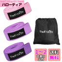 TheFitLife トレーニングチューブ 筋トレチューブ ゴムチューブ レジスタンスバンド ストレッチバンド フィットネスバンド (ピンクセット)