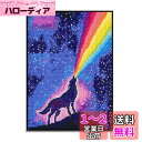 JISHSHAY ダイヤモンドアート 四角いビーズ 動物と光 ダイヤモンドペインティング 全面貼り付けタイプ スクエアビーズ アート ハンドメイド 人気 芸術品 装飾 絵画 DIY 手芸キット 30x40cm(3)