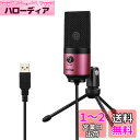 FIFINE USBマイク コンデンサーマイク 単一指向性 PC用マイク ネット通話 在宅勤務 配信 ゲーム実況 宅録 音量調節可能 三脚マイクスタンド付属 W...