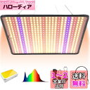 GREENSINDOOR 植物育成ライト LED 植物ライト36W 超薄型 500LEDs フルスペクトル 室内栽培 観葉植物 育成ライト 水耕栽培 多肉植物 ...