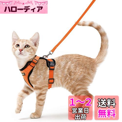 Rabbitgoo 猫 ハーネス リード セット 犬猫兼用 超小型犬 小型犬 抜けない ソフト胸あて 軽量 足を上げず装着完成 サイズ調節可 夜反射 通気メッシュ 咳込み防止 散歩 猫用ハーネス 猫 胴輪 りーど はーねす 散歩 紐 ひも (XS オレンジ)