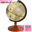 akindou 23.5cm アンティーク風 英語版 アルファベット表記 地球儀 グローブ インテリア プレゼント レトロ