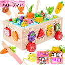 【送料無料】Bajoy 7in1 モンテッソーリ 教育玩具 型はめ 形合わせ はめ込み 指先を使う釣りおもちゃ 紐通しおもちゃ おままごとおもちゃもできる多機能...