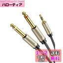 UGREEN 6.35mm*2 to 3.5mm オーディオ変換ケーブル 変換ステレオミニプラグ 6.35mm 2分配ケーブル オス-オス 高耐久性ナイロン編み HIFI音質 24K金メッキ コネクター スマホ/PC/CDプレーヤー/スピーカー/アンプ等に適用(2)