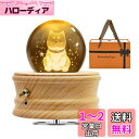 【2023年 正規品 ギフトボックス包装】オルゴール プレゼント QUEENBABI 柴犬 オルゴール クリスタルボール 誕生日プレゼント女性 人気 間接照明 クリスタル LEDライト USB充電式 投影機能 インテリア 癒しグッズ おしゃれ 木製 手作り 雰囲気作り かわいい 結婚祝い 卒