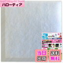 【送料無料】ビーワンショップ 給気口フィルター (170mm×170mm) 10枚入 ・パナソニック VB-YB100F / VB-GE100PF2 ・シルファー SY-150SX3-F/SY-150SX2-F/SY-150FS6-F/F-2F / F-150SX 他 換気口 互換フィルター (S170)
