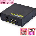 KanaaN HDMIスプリッター 1入力2出力 4k対応 Y-アダプタ 2160p Full UHD/ HD 1.4b 2-fach / 2-port