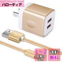 Viviber「2ポートUSB充電器*1個+USB Type-Cケーブル1m*1本」USB充電アダプター 急速充電器 タイプC充電器 AC USBコンセント アンドロイドスマホ充電器 ドコモ携帯充電器 Xperia充電器 Galaxy充電器ケーブル USB 2.0 ケーブル USB-C充電ケーブル タイプCケーブル Andriod