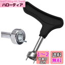 サムコス ゴルフスパイクレンチ 交換用 ゴルフシューズ スパイク鋲 セット (1個入)