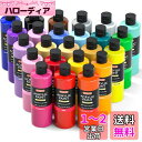 アクリル絵の具 24色 250ml 大容量 絵の具セット 無毒 速乾 耐水 耐久 伸びがいい 鮮やか ボトル キャンバス/石/木材/セラミック/壁に描ける 画材 美術用品 イラスト 大人の塗り絵 アーティスト 美大生 学校用