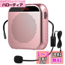 Yi Tong ポータブル 拡声器 ハンズフリー ヘッドセット マイク 付 スピーカー 音楽再生 USB microSD 対応 イベント?講演?説明会などに最適!! (ピンク)(3)