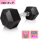 ヘックスダンベル 7.5kg ダンベル 鉄アレイ キャストアイアン Hex