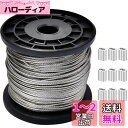 Ailenlan ワイヤー ワイヤーロープ ステンレスワイヤー wire rope 2mmワイヤー 物干しロープ 直径2.0mm 長さ100M 7×7構造 切断荷重290kgf(SUS304) 8文字型アルミスリーブ付き 100個 耐食性 工事 アンテナ固定 地震対策 落下防止 林業 DIY フェンス