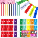 D.B.J 2種類 ケーブルラベル 240枚 ケーブル結束バンド10本 ケーブルタグ 配線識別 表示ラベル 電線整理収納 目印 各種コンセント 充電コード 電源プラグ オフィス pc 整理に便利なタグ ネームタグ ケーブルまとめ カラフル