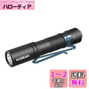 ACEBEAM Pokelit AA 懐中電灯 小型 軽量 強力 550ルーメン 高演色性 Ra90 3段階調光 500回以上充電可能です 1x単三に対応 IP...