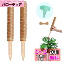 YOUSHY園芸支柱 観葉植物モンステラ 支柱 つる性植物 観葉植物 ココナッツ支柱 植物サポート フラワースタンド 花支え ガーデニング支柱 農業用 園芸用 ...