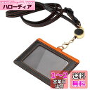 IDカードホルダー ネームホルダー 名札ホルダー 社員証 カードケース メンズ 伸縮リール式 脱着式 横型 両面用 ネックストラップ パスケース カード入れ 定...