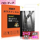 対応 Sony NW-A306 NW-A307 ガラスフィルム 【2枚セット】 対応 Sony ウォークマン NW-A306 NW-A307 フィルム NWA3...