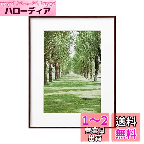 ϥ HAKUBA  ۱ ZEROե졼 G-01 A3 ֥饦 FZG01-A3BR