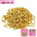 LOKIPA ボールチェーン ゴールド 12cm コネクター付き 50本 キーホルダー ストラップ くさり用 手作素材 ハンドメイド アクセサリーパーツ