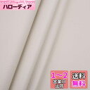 LOKIPA 合皮 生地 ソフト 人工レザー DIY かばんの作りに 手芸材料 pvc leather ライチ紋 幅135cm (1M, ベージュ)