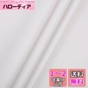 LOKIPA 合皮 生地 ソフト 人工レザー DIY かばんの作りに 手芸材料 pvc leather ライチ紋 幅135cm (2M, 白いA)