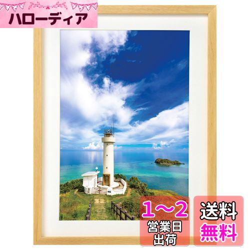 ϥ HAKUBA ۱ MM-01 磻4  ʥ FWMM01-NTW4