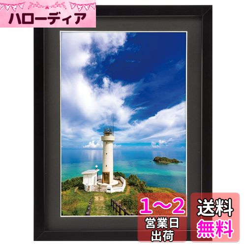 ϥ HAKUBA ۱ MM-01 A4   ֥å FWMM01-BKA4