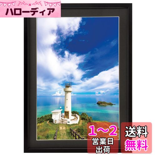 ϥ HAKUBA ۱ MM-01 A3Υ   ֥å FWMM01-BKA3N