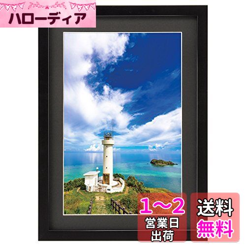 HAKUBA ۱ MM-01 磻6  ֥å FWMM01-BKW6