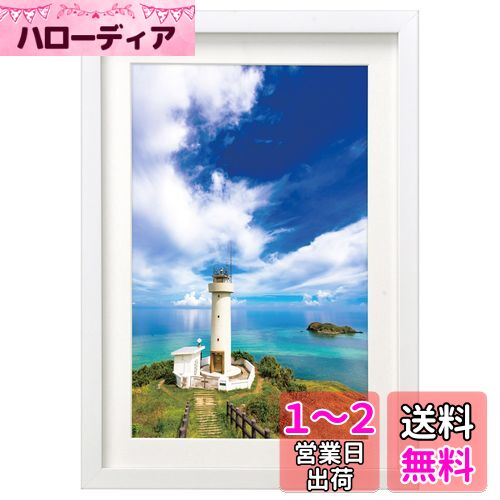 HAKUBA ۱ MM-01 磻6  ۥ磻 FWMM01-WTW6