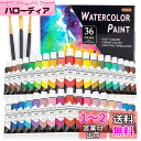 Shuttle Art 水彩絵の具 36色セット 透明水彩 12ml チューブ 大人の塗り絵 水彩画 お絵描き 美術 画材セット 学校用 幼稚園 初心者 専門家 プレゼント